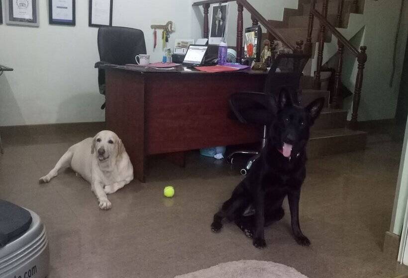 مبيت وإفطار Palms Villa