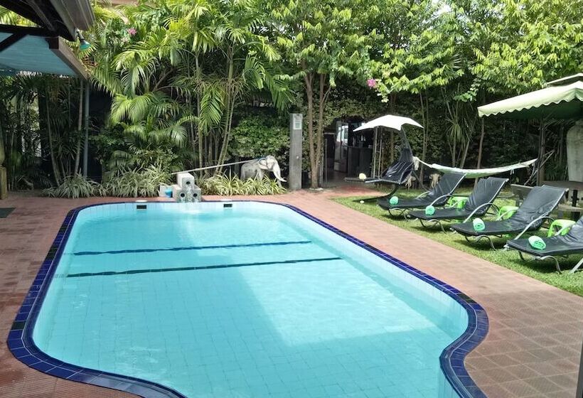 مبيت وإفطار Palms Villa