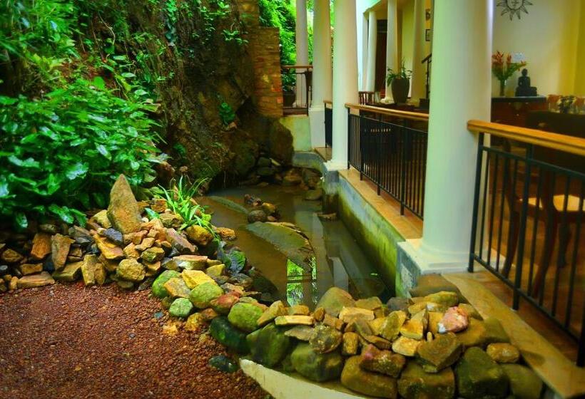 酒店 Tropical Retreat