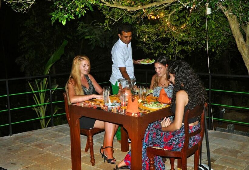 酒店 Tropical Retreat