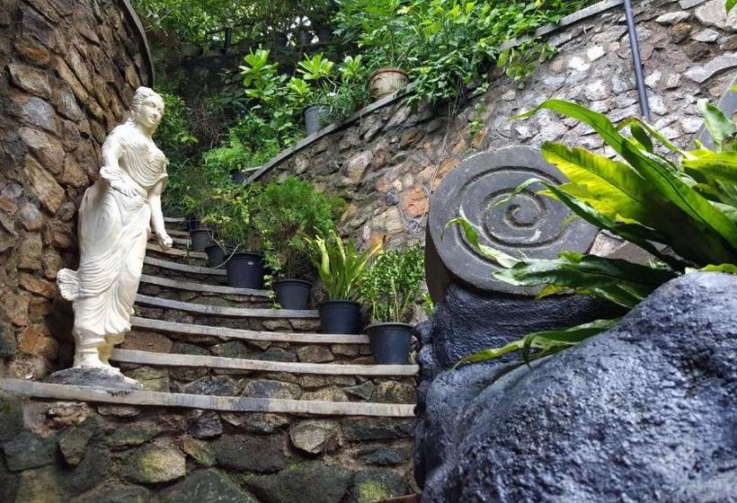 Курорт Ridee Villa