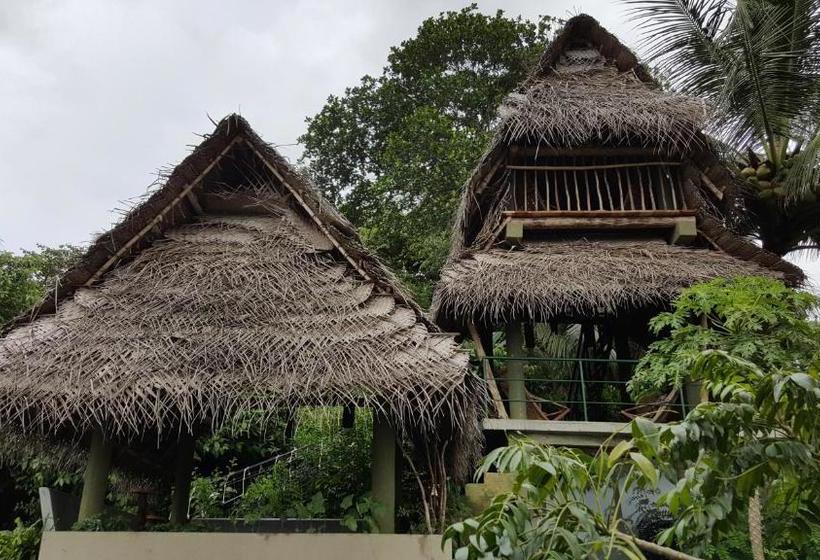 Курорт Ridee Villa