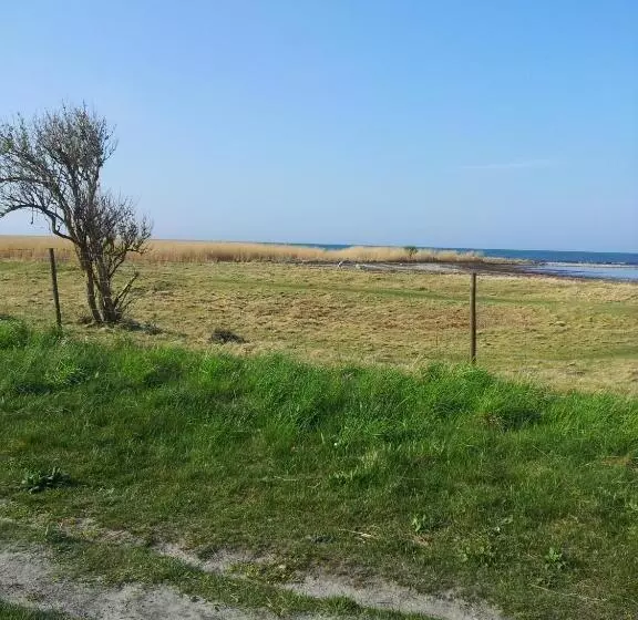 ユースホステル Efs Höllviksstrand