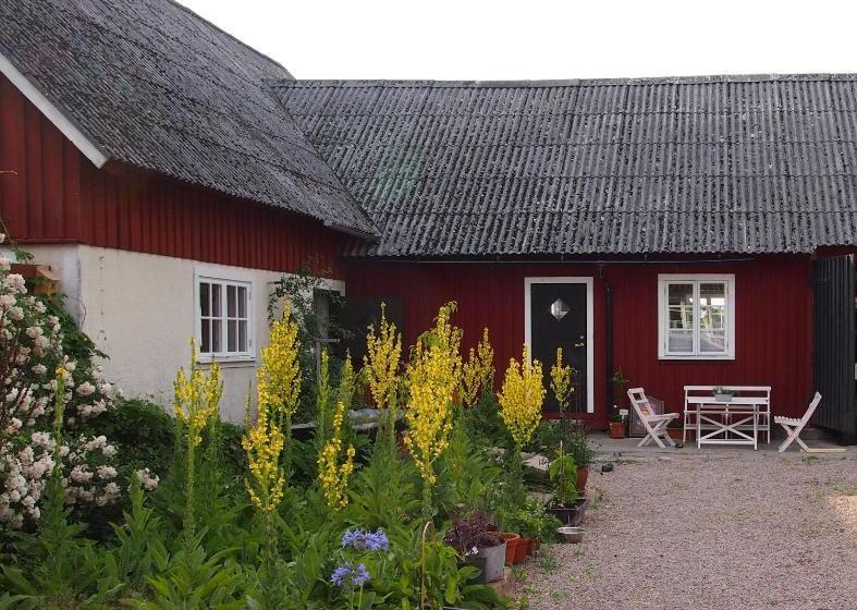 Augustas Bed & Breakfast