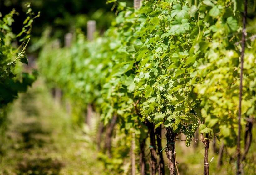 Boutique Hotel Golf Garni