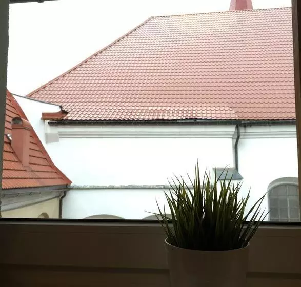 هاستل Mikalo House