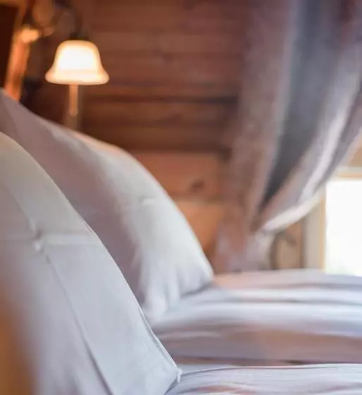 Hotel Dalen