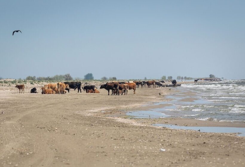 בית מלון כפרי Green Village Resort