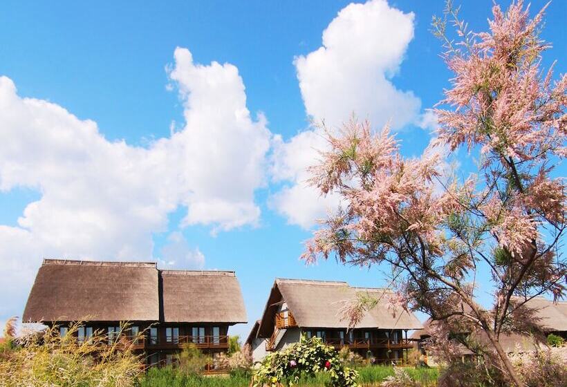 בית מלון כפרי Green Village Resort