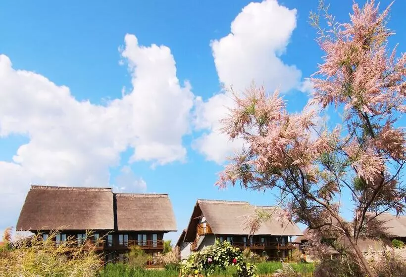 ホテル Green Village Resort