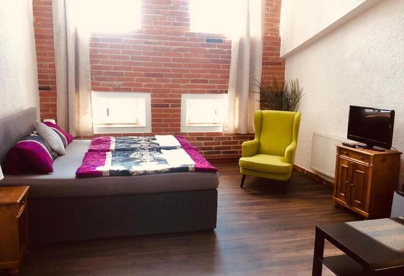 فندق Sokolský Dům