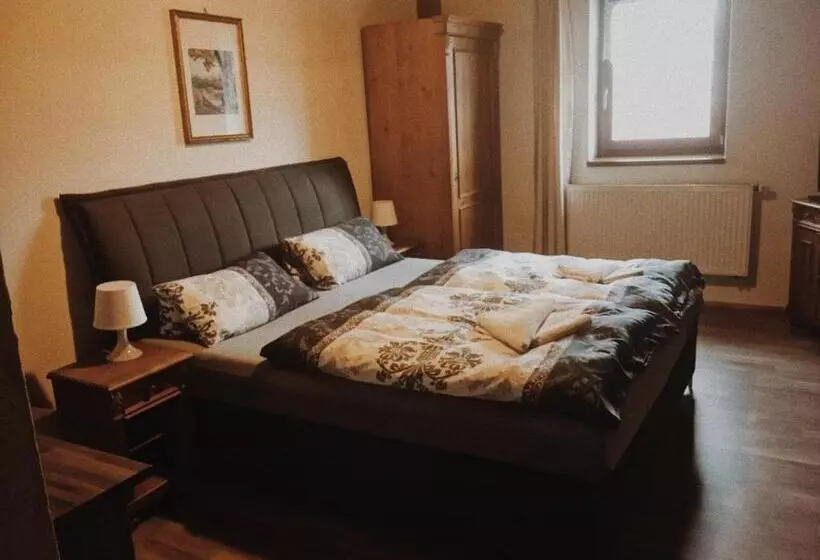 ホテル Sokolský Dům