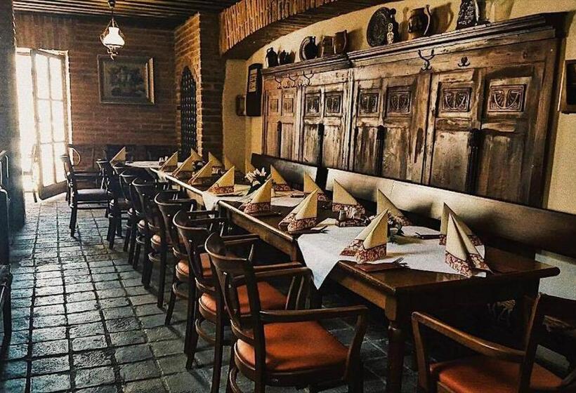 فندق Sokolský Dům