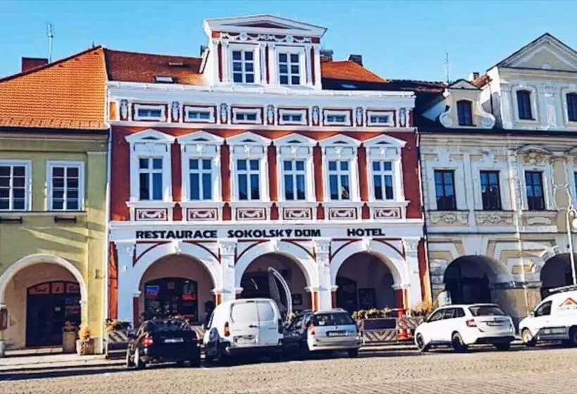 ホテル Sokolský Dům