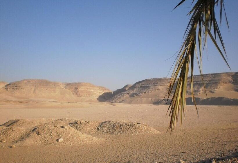 استراحتگاه House Of Life Abydos