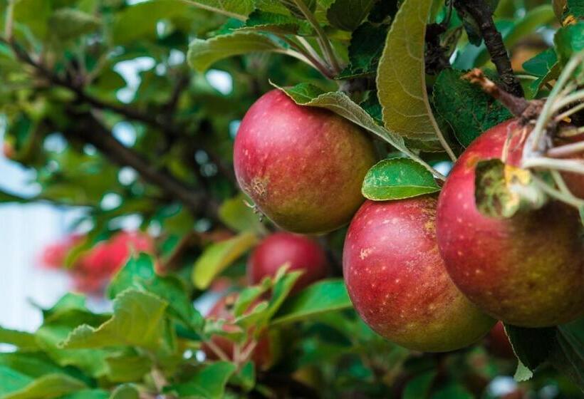 Agda Lund Bed & Breakfast