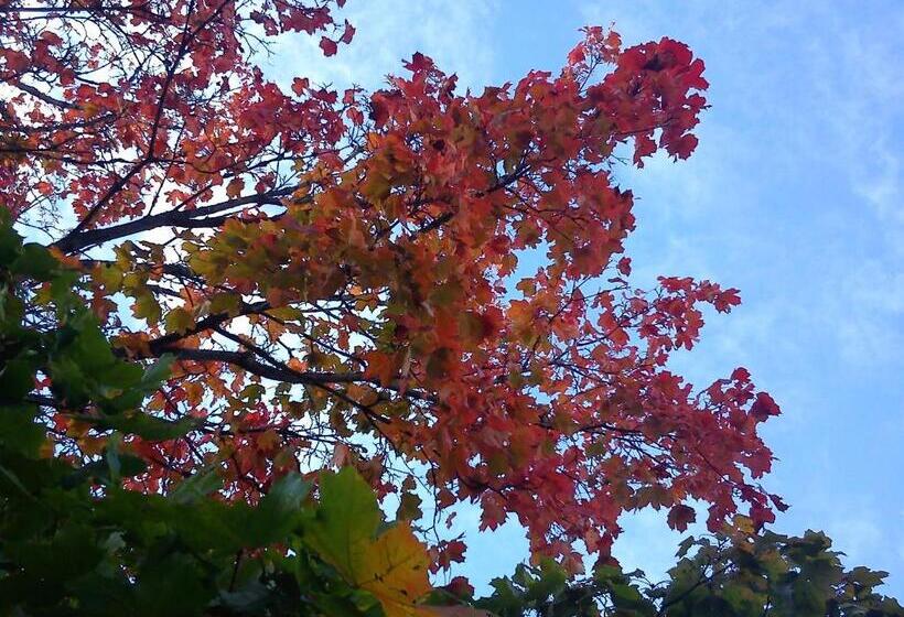 הוסטל Hvilan V Hem Norrtälje Ab