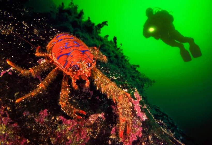 호스텔 Strandvillan Hotell Och Bed & Breakfast