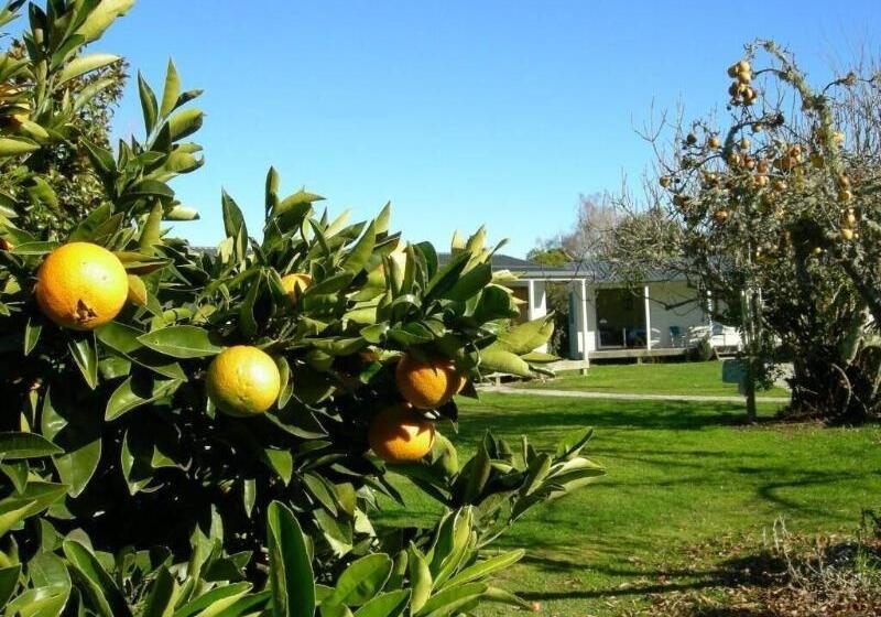 Albergue White Elephant Accomodation