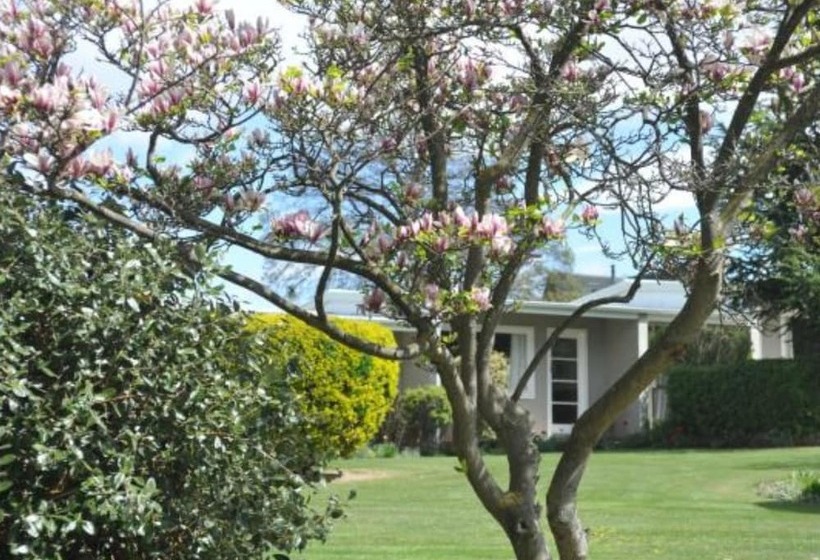 Alexandra Garden Court Motel