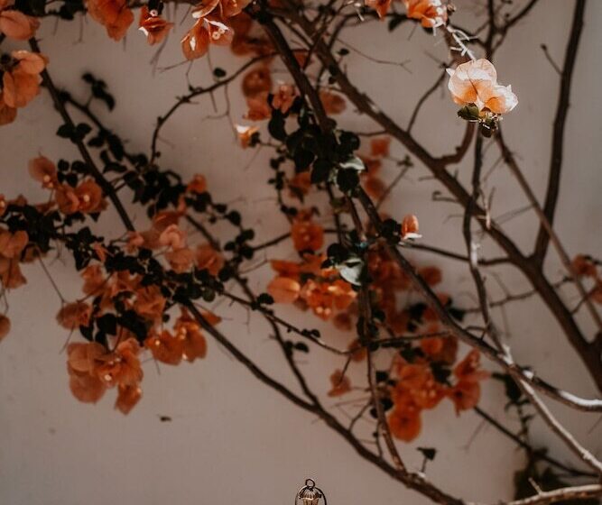 مبيت وإفطار Casa Morgados Grândola Guesthouse