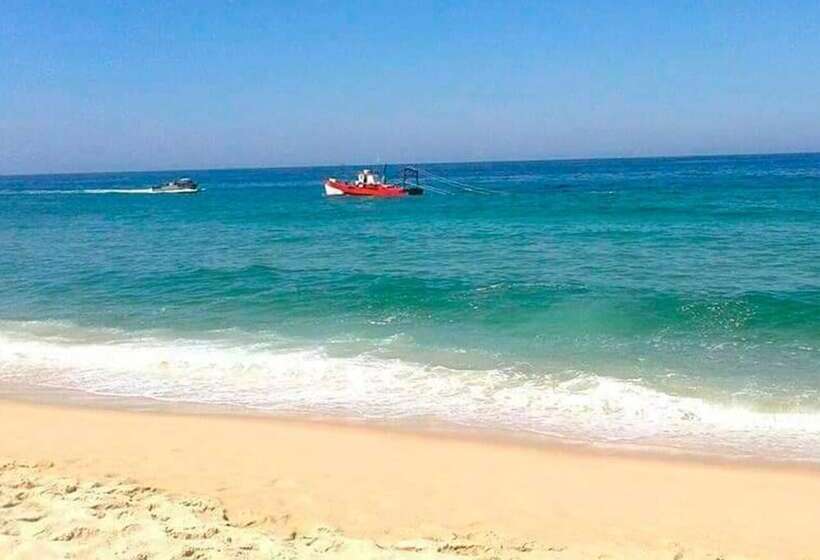 مبيت وإفطار Casa Morgados Grândola Guesthouse