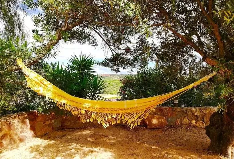 Aamiaismajoitus (B&B) Gato Preto De Silves Adults Only