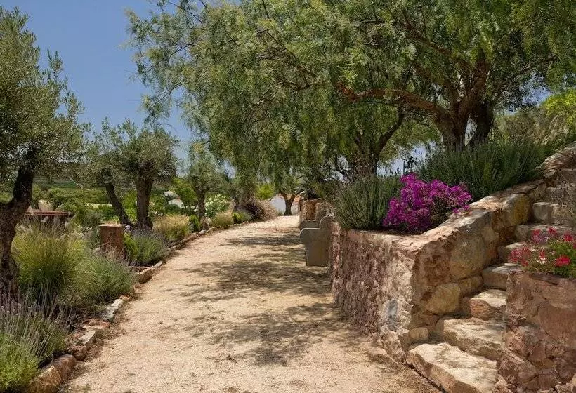 Aamiaismajoitus (B&B) Gato Preto De Silves Adults Only