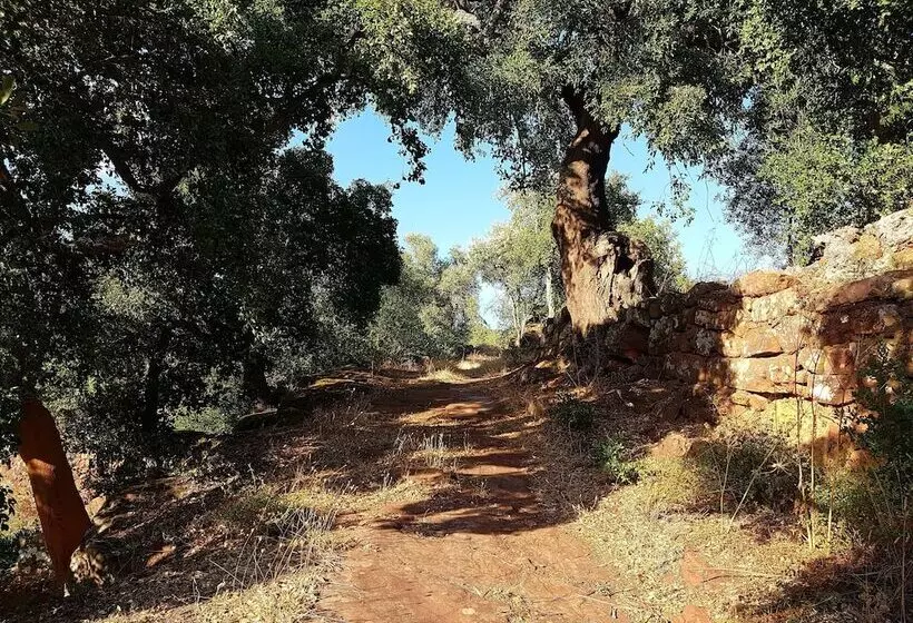 Aamiaismajoitus (B&B) Gato Preto De Silves Adults Only