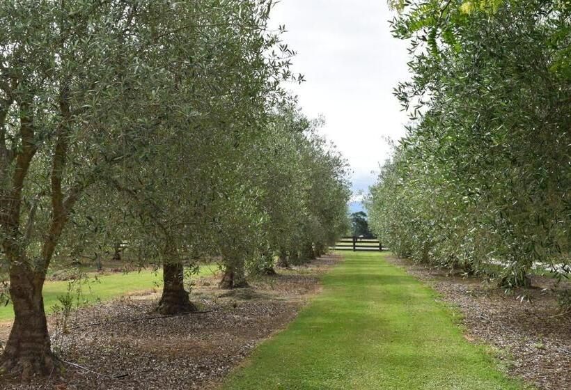 ベッドアンドブレックファースト Olivista