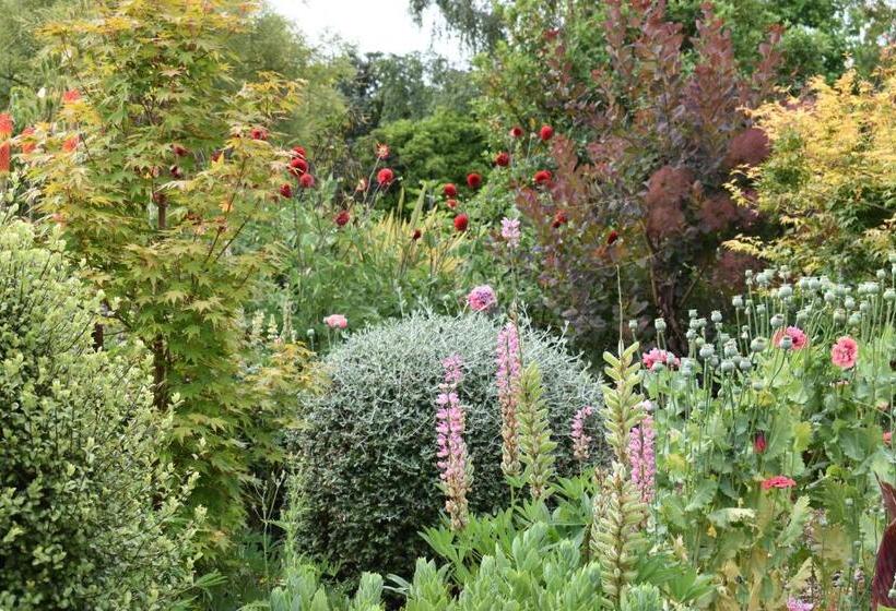 ベッドアンドブレックファースト Olivista