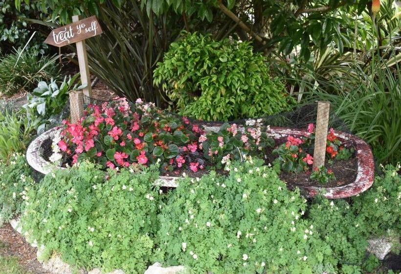 ベッドアンドブレックファースト Olivista