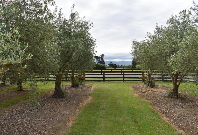 ベッドアンドブレックファースト Olivista