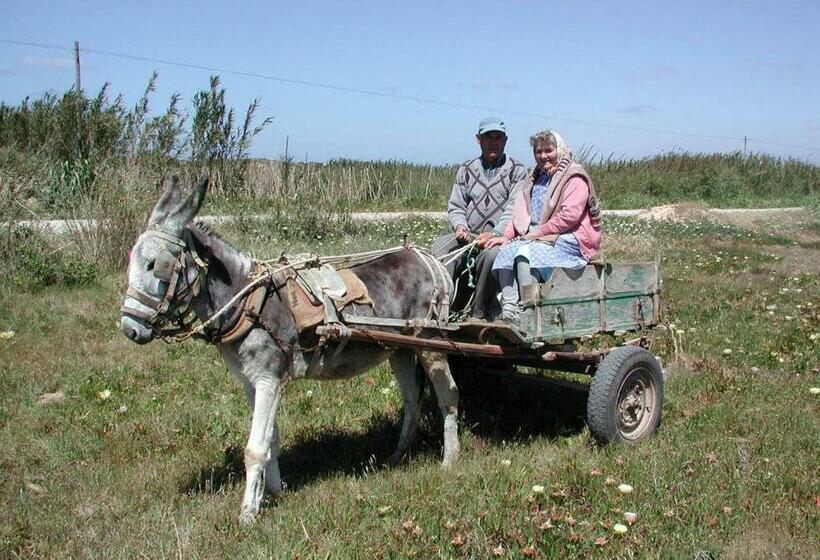 Da Silva Surfcamp  Hostel