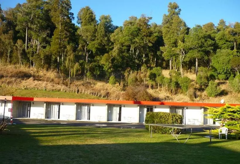 Safari Motel