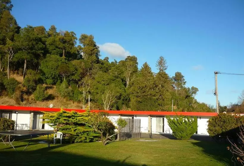 Safari Motel