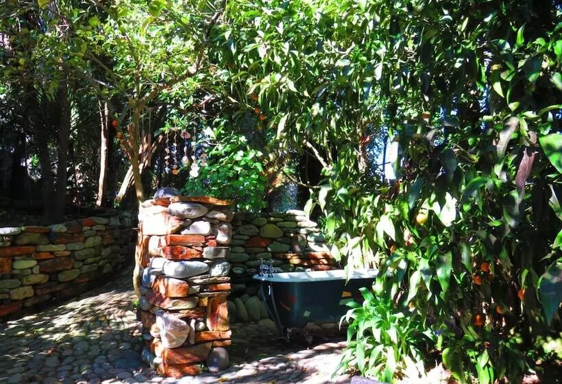 Shady Rest Bed & Breakfast