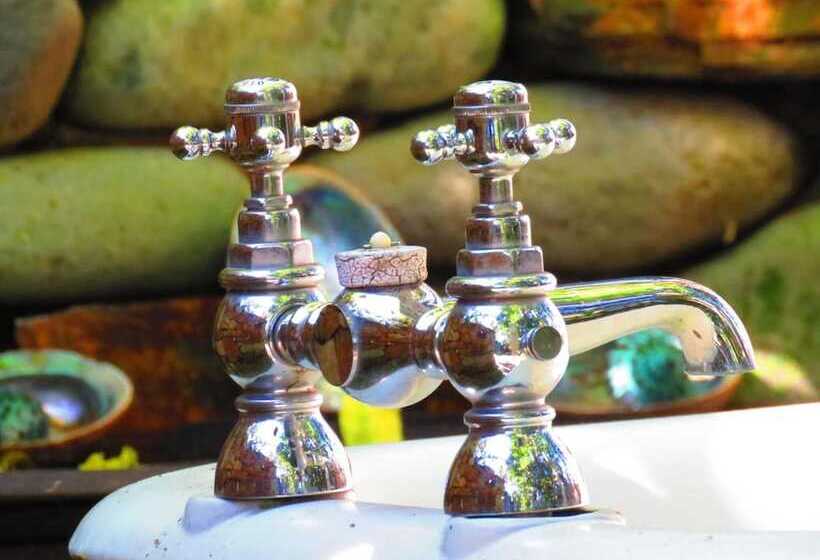 Shady Rest Bed & Breakfast