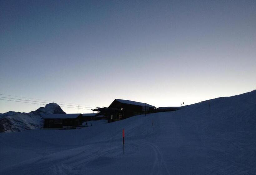 Hostel Berggasthaus First Only Accessible By Cable Car