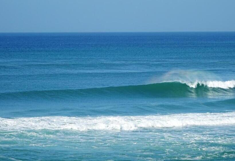 هاستل H2o Guesthouse