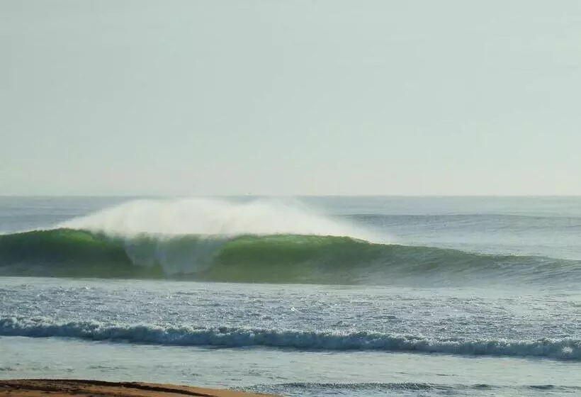 ユースホステル H2o Guesthouse
