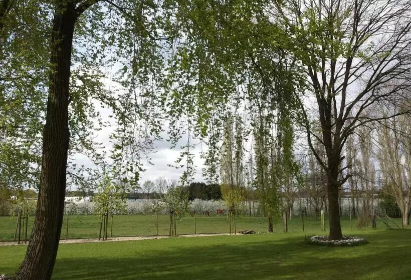 B&b Johannes Hoeve