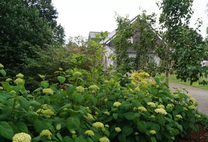 B&b Johannes Hoeve