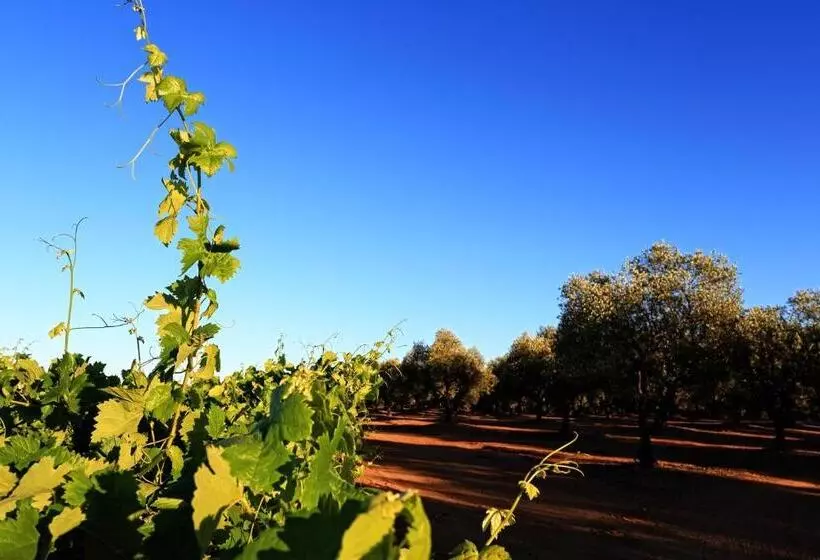 Aamiaismajoitus (B&B) Herdade Da Calada