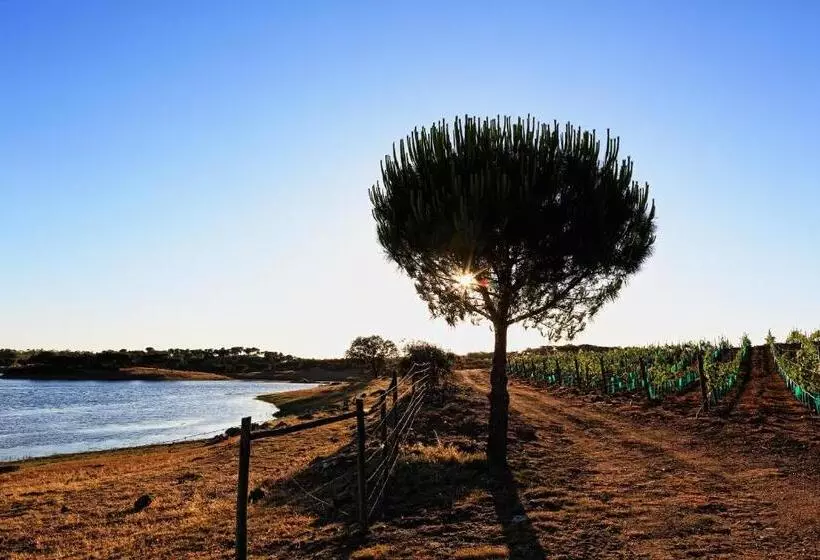 Aamiaismajoitus (B&B) Herdade Da Calada