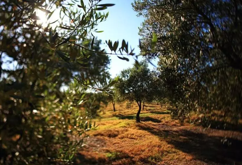 Aamiaismajoitus (B&B) Herdade Da Calada