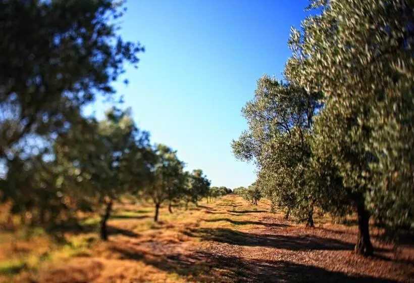 Aamiaismajoitus (B&B) Herdade Da Calada