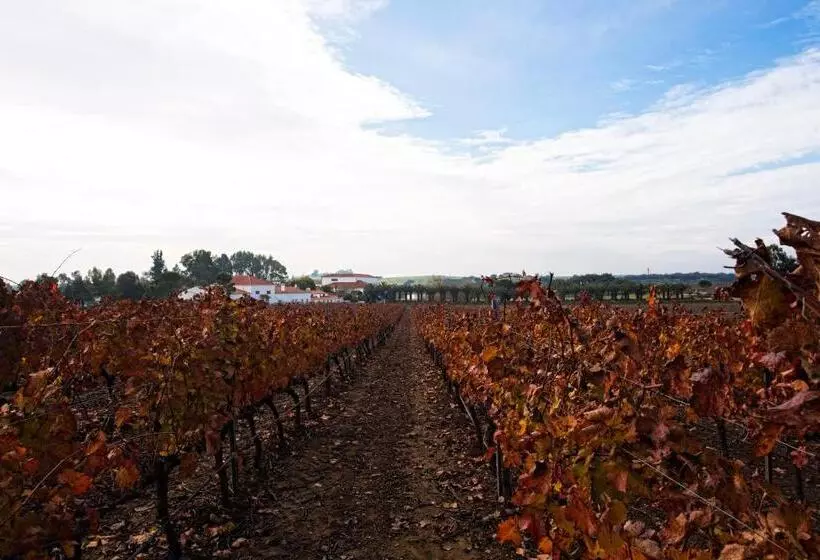 Aamiaismajoitus (B&B) Herdade Da Calada