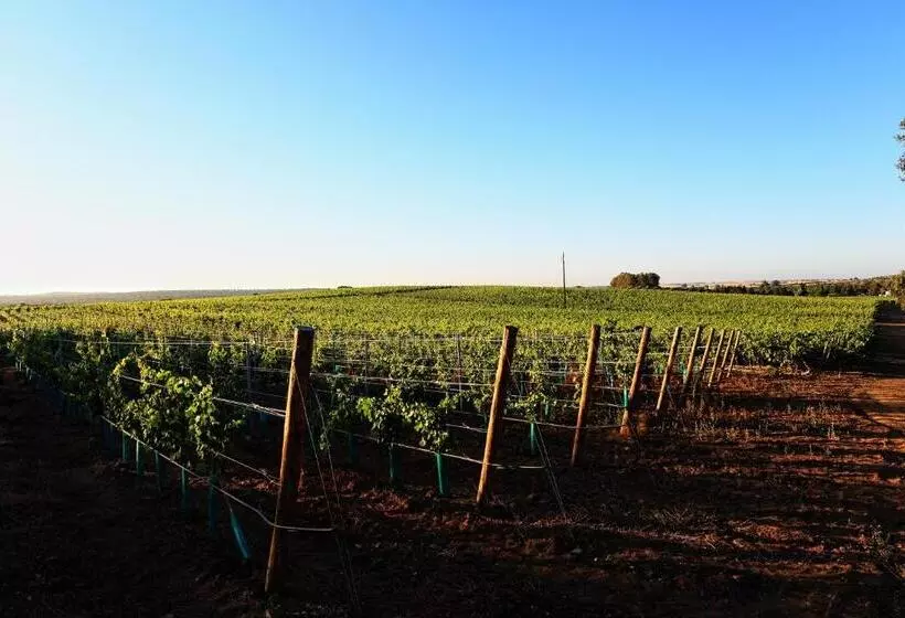 Aamiaismajoitus (B&B) Herdade Da Calada