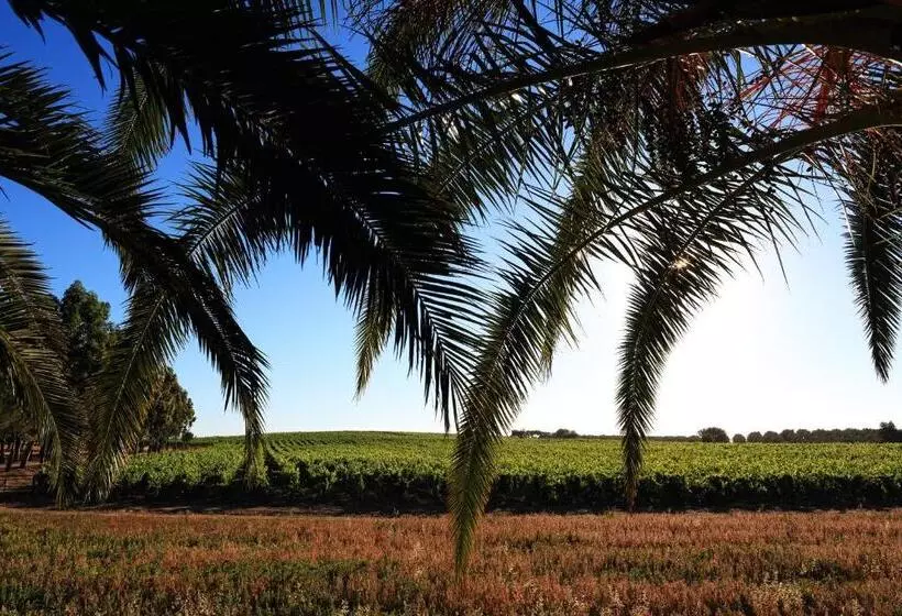 Aamiaismajoitus (B&B) Herdade Da Calada
